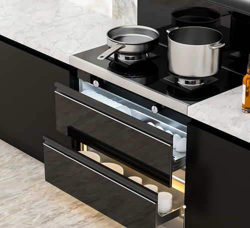 集成灶十大品牌解析 高品質(zhì)廚具衛(wèi)具的不二之選